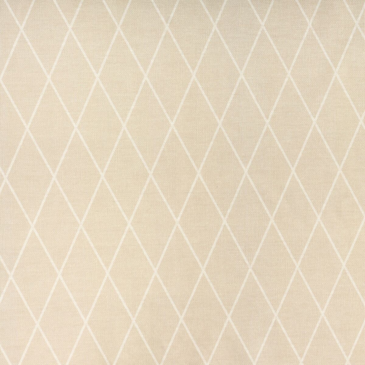 Nappe antitache Belum 0120-293 140 x 140 cm